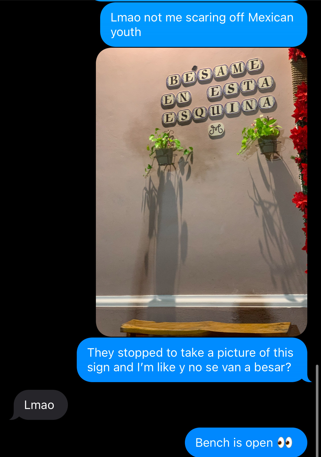 Screenshot of a text message about a kissing bench in Mexico